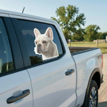 Personalisierter Haustier-Foto-Autofensteraufklebe
