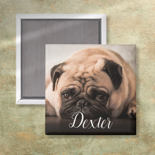 Personalisierter Hund Katze Haustier Foto Skript N Magnet