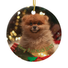 Personalisierter Hunde-Weihnachtsschmuck – Benutze