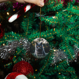 Personalisierter Hundekatzen-Gedenktag Keramik Ornament