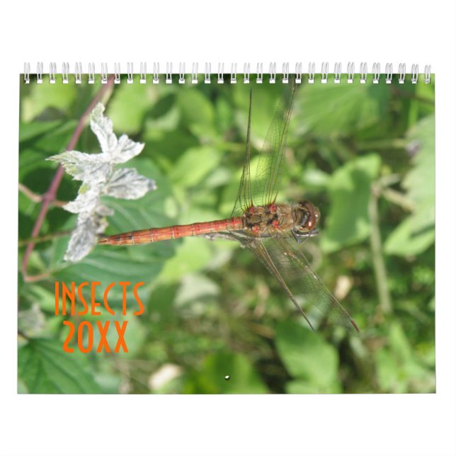 Personalisierter Insektenkalender Kalender (Titelbild)