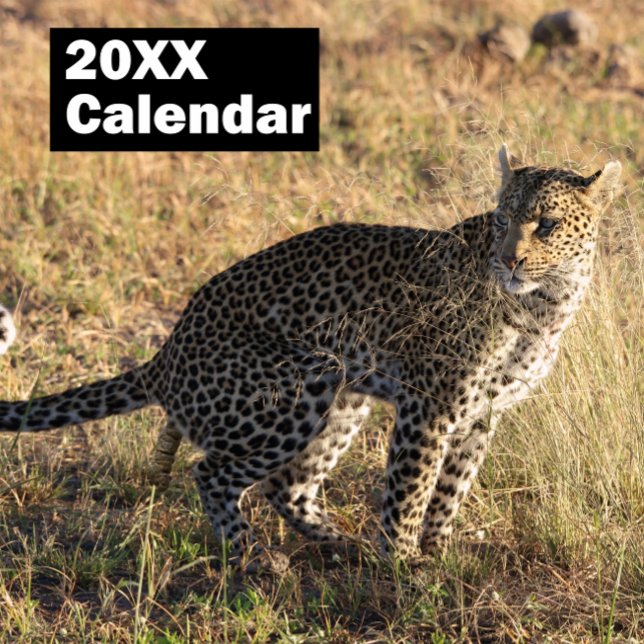 Personalisierter Kackend Tierkalender 2024 Kalender (Von Creator hochgeladen)