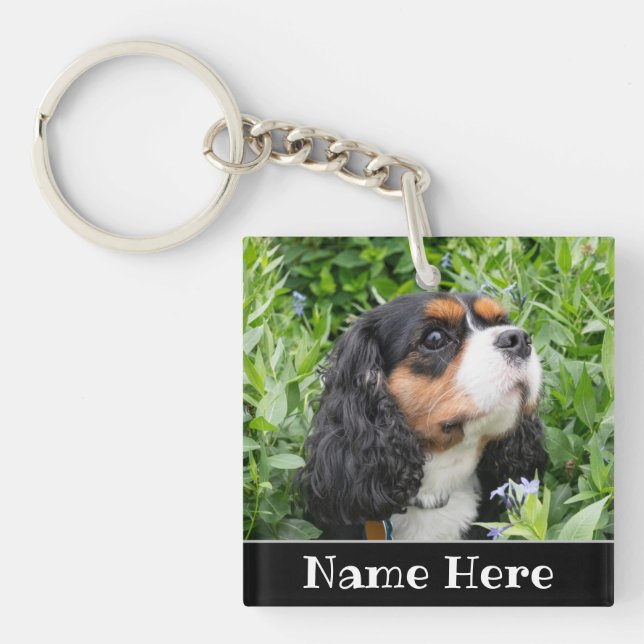 Personalisierter Kavalier König Charles Spaniel Hu Schlüsselanhänger (Vorderseite)