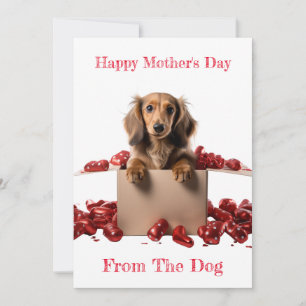 Personalisierter Langhaar-Dachshund-Welpe zum Mutt Feiertagskarte