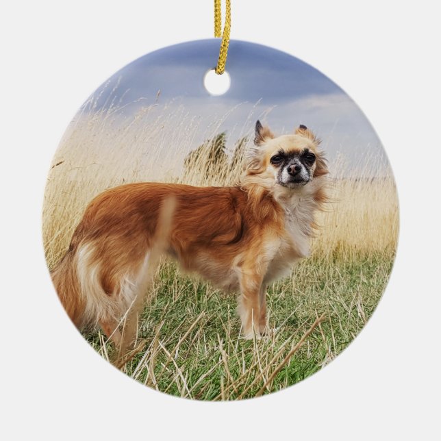 Personalisierter langhaariger Chihuahua Keramik Ornament (Vorne)