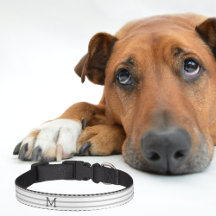 Personalisierter moderner Streifen-Hundehalsband n