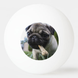 Personalisierter Mops Foto und Name Tischtennisball