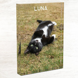Personalisierter Name des Tieres Fotoblock