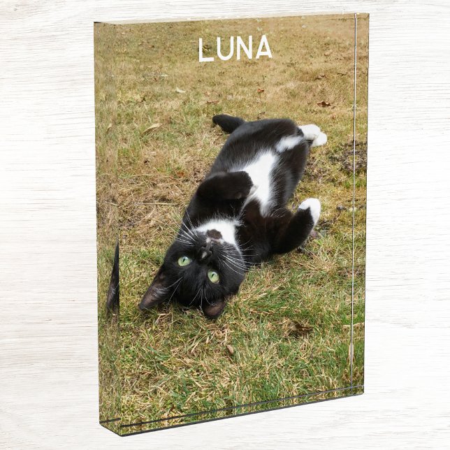 Personalisierter Name des Tieres Fotoblock (Modern photo personalized custom name photo block for family or pet pictures)