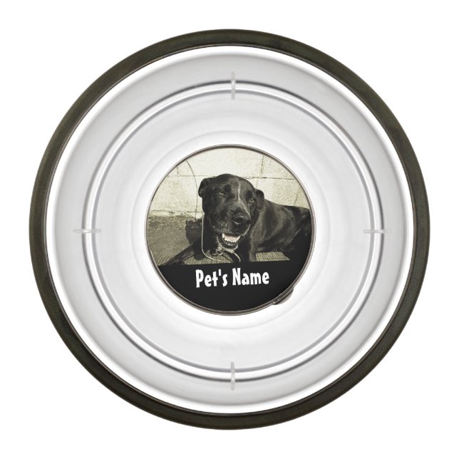 Personalisierter Name Farbe Foto Pet Bowl Futternapf (Vorderseite)