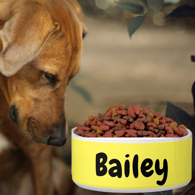 Personalisierter Name Foto Art Farbstift Groß Napf (Custom Personalized Name Photo Art Color Pet Large Bowl)