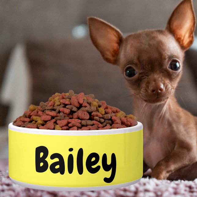 Personalisierter Name Foto Art Farbstift Klein Napf (Custom Personalized Name Photo Art Color Pet Small Bowl)
