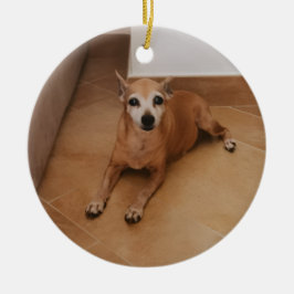 Personalisierter Name und Foto-Tiergedenkstein Keramik Ornament