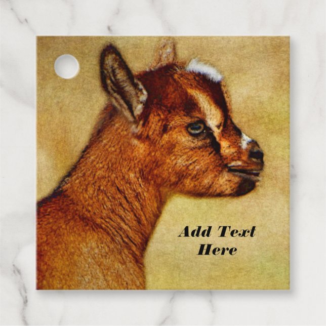 Personalisierter nigerianischer Zwerg Geschenkanhänger (Vorderseite)