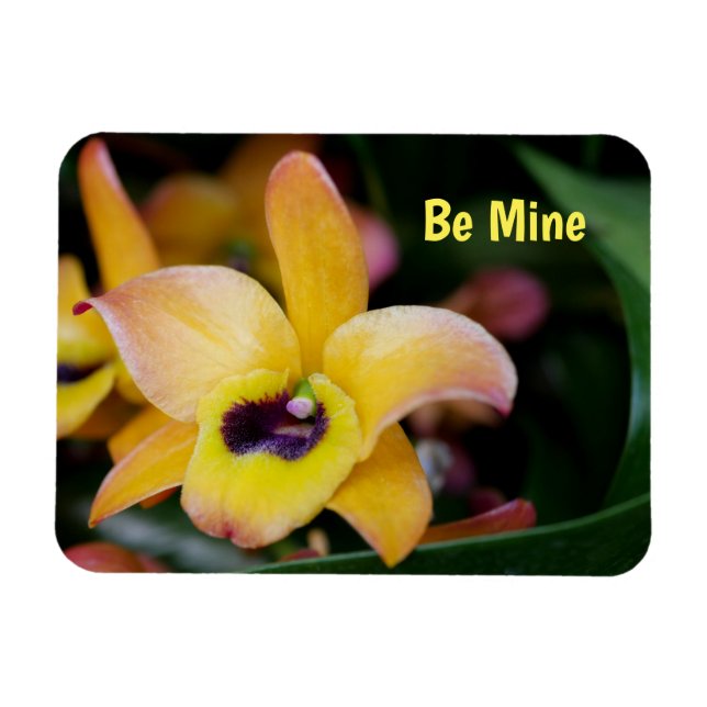 Personalisierter Orchid-Weichzeichner Magnet (Horizontal)