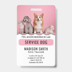 Personalisierter Red White Service Hund Ausweis