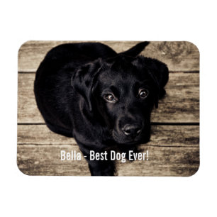 Personalisierter schwarzer Labrador-HundeFoto-und Magnet