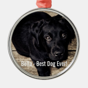 Personalisierter schwarzer Labrador-HundeFoto-und Silbernes Ornament