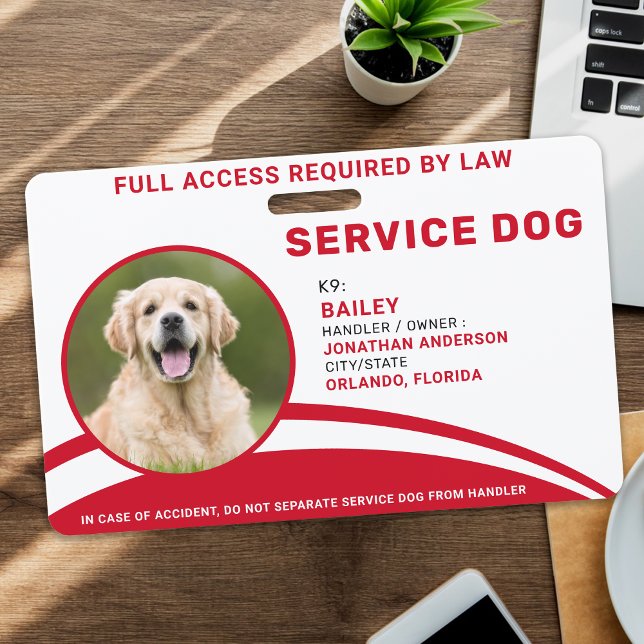 Personalisierter Service Hund Einfach Modernes Fot Ausweis (Von Creator hochgeladen)