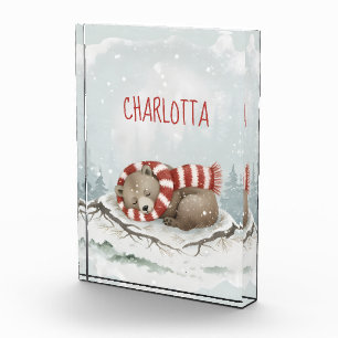 Personalisierter Sleeping Bear Foto-Block, Benutze Fotoblock