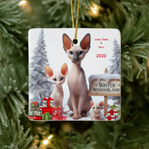 Personalisierter Sphynx-Familien-Weihnachtsschmuck Keramikornament
