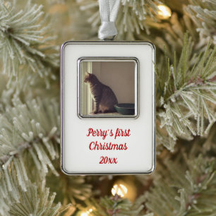 Personalisierter Tabby-Katz Weihnachtsbaumschmuck Rahmen-Ornament Silber