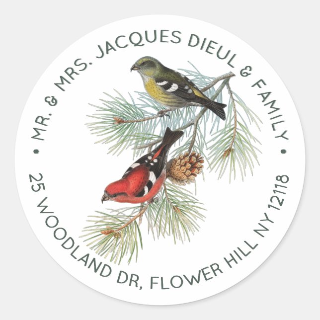 Personalisierter Text der Vogelschutzbrille Runder Aufkleber (Vorderseite)