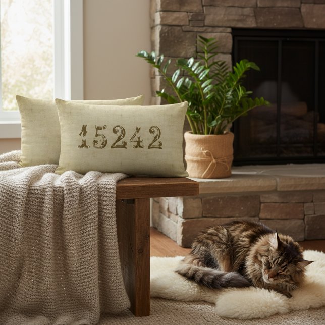 Personalisierter Vintager ZIP-Code Lendenkissen (Make your own zip code lumbar pillow!)