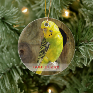 Personalisierter Vogel Foto & Name Weihnachtsbaum Keramikornament