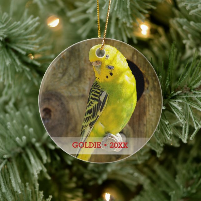 Personalisierter Vogel Foto & Name Weihnachtsbaum Keramikornament (Baum)