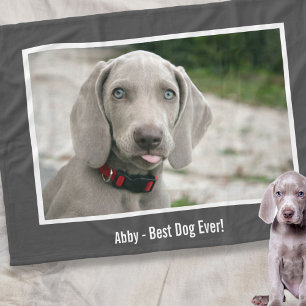 Personalisierter Weimaraner HundeFoto-und Fleecedecke