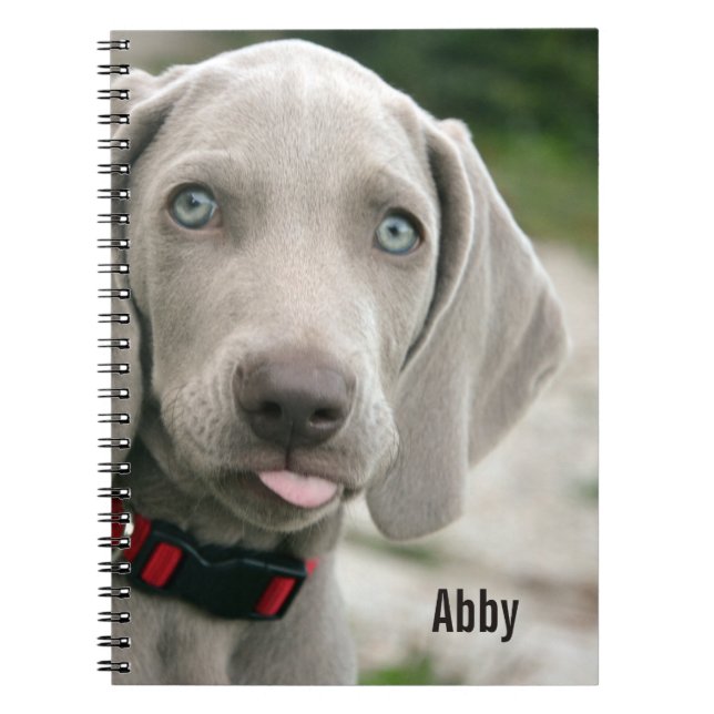 Personalisierter Weimaraner HundeFoto-und Notizblock (Vorderseite)
