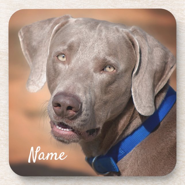 Personalisierter Weimaraner Welpenhund Getränkeuntersetzer (Vorderseite)