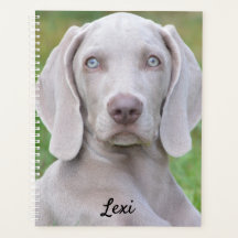 Personalisierter Weimaraner Welpenhund