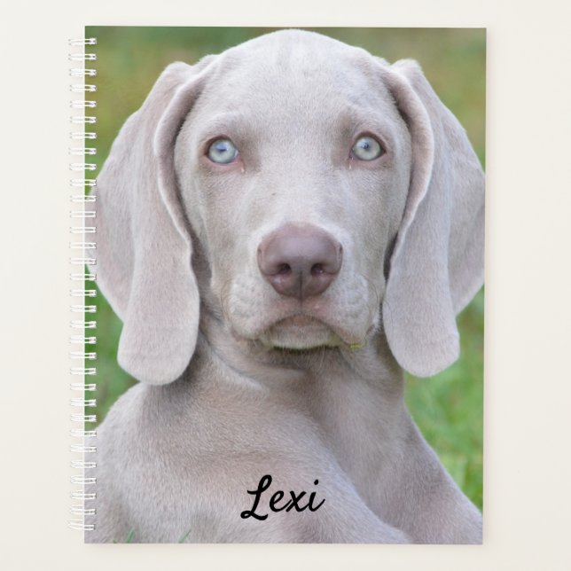 Personalisierter Weimaraner Welpenhund Planer (Vorderseite)