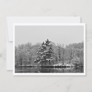 Personalisierter Winter Immergrün in Schwarz und W Feiertagskarte