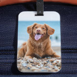 Personalisiertes 2 Foto Benutzerdefiniert Erstelle Gepäckanhänger<br><div class="desc">Gepäckanhänger Ihres besten Fotos. Schaffen Sie Ihrem Lieblingshunde, Hundemutter oder Hundedad ein lustiges Geschenk. Ob Muttertag, Vatertag, Geburtstag oder Weihnachten, diese Foto Gepäckanhänger machen ein perfektes Geschenk und machen kleine Geschenke Spaß! COPYRIGHT © 2020 Judy Burrows, Black Dog Art - Alle Rechte vorbehalten. Personalisiertes 2 Foto Benutzerdefiniert Erstellen Sie Ihren...</div>