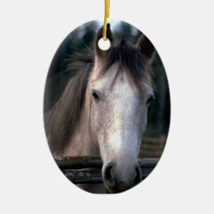 Personalisiertes 4PetRescue Keramikornament