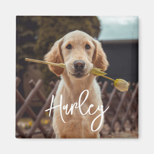 Personalisiertes benutzerdefiniertes Foto und Text Magnet