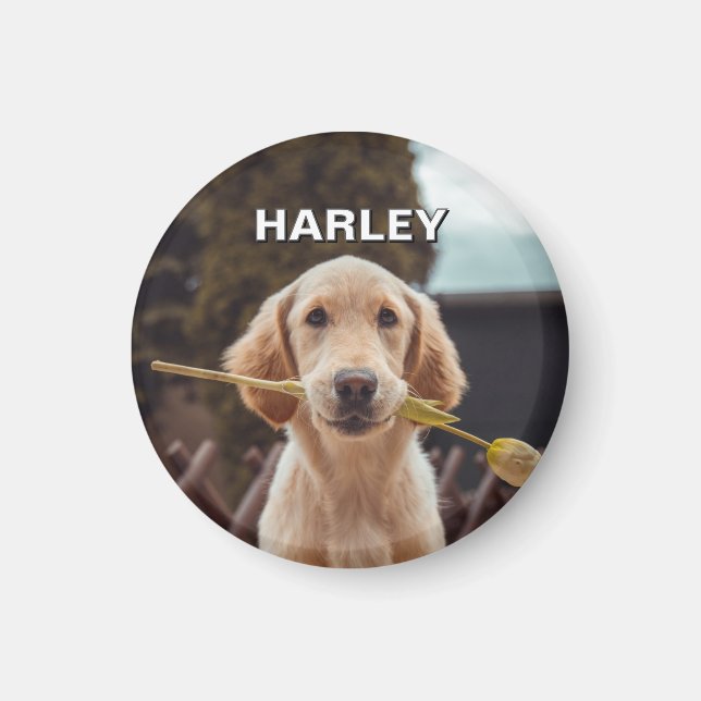 Personalisiertes benutzerdefiniertes Foto und Text Magnet (Vorne)