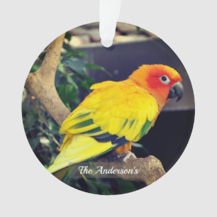 Personalisiertes benutzerdefiniertes Lovebird-Foto Ornament