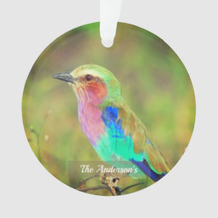 Personalisiertes benutzerdefiniertes mehrfarbiges  ornament