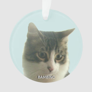 Personalisiertes benutzerdefiniertes Tabby Cat-Fot Ornament