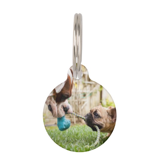 Personalisiertes Bild des Fotos für das Begleiterb Haustiermarke (Vorderseite)