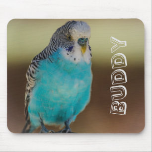 Personalisiertes blaues Budgie Mousepad