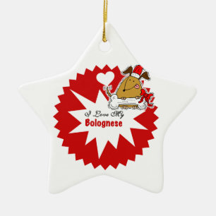 Personalisiertes Bolognese Keepake Ornament