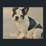 Personalisiertes Bulldog-Foto und Name des Bulldog Holzdruck<br><div class="desc">Personalisiertes Bulldog-Foto und Ihr Bulldogge-Name - dieses Design enthält ein hochgeladenes Foto Ihres Bulldoghundes (oder irgendeines Hundes), den Namen Ihres Hundes oder Ihren eigenen Text - Wir Liebe "Hundenname", Hundes Geburtstag oder Tag der Abreise. Klicken Sie einfach auf "Anpassen", um Ihren personalisierten Text hinzuzufügen, den Schriftart und die Farbe zu...</div>