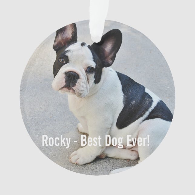 Personalisiertes Bulldog-Foto und Name des Bulldog Ornament (Vorderseite)