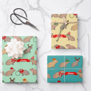 Personalisiertes Capybara Süßes Wildlife Weihnacht Geschenkpapier Set