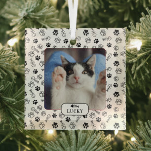 Personalisiertes Cat Fish Bone & Pawprint Pet Foto Ornament Aus Glas